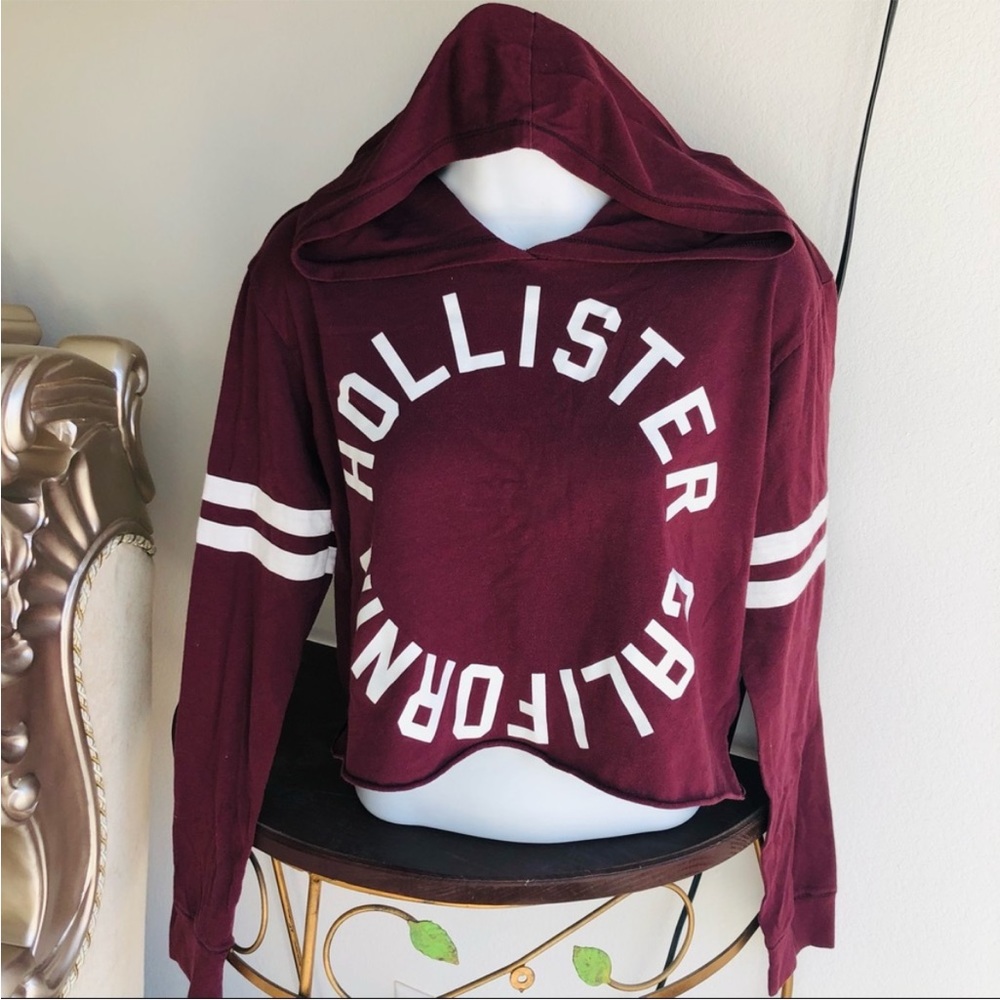 Hollister Logo Graphic Hoodie Crop T-Shirt